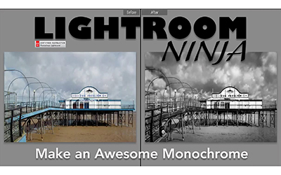 How to make an Awesome Monotone Image