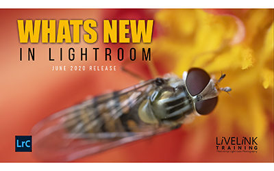 Whats New in Lightroom (June 2020 Release)