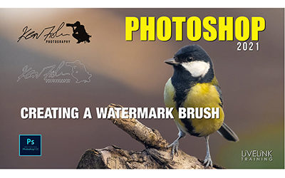 How to Create a Watermark Brush from Images, Text and Vector Art