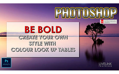 Be Bold Create Your Own Look With LUTS(Look Up Tables)